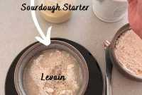 Levain vs. Sourdough Starter: Key Differences for Bakers