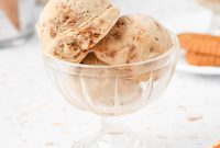 Biscoff Cookie Butter Ice Cream Recipe — Creamy No-Churn Dessert