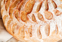 6 Popular Sourdough Breads and Recipes to Try at Home
