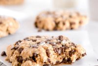 Oatmeal Chocolate Chip Protein Cookies for Active Lifestyles