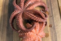How to Cook Tender Octopus: Step-by-Step Guide for Perfect Results