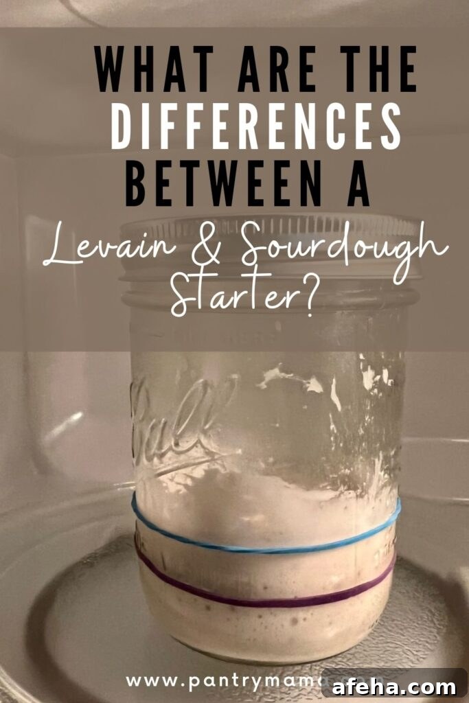 DIFFERENCES BETWEEN SOURDOUGH STARTER AND LEVAIN