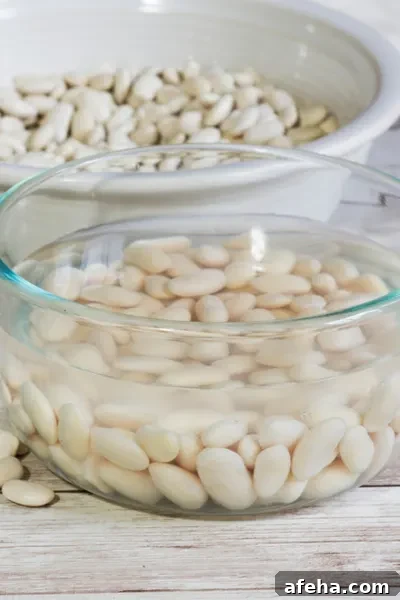 navy beans