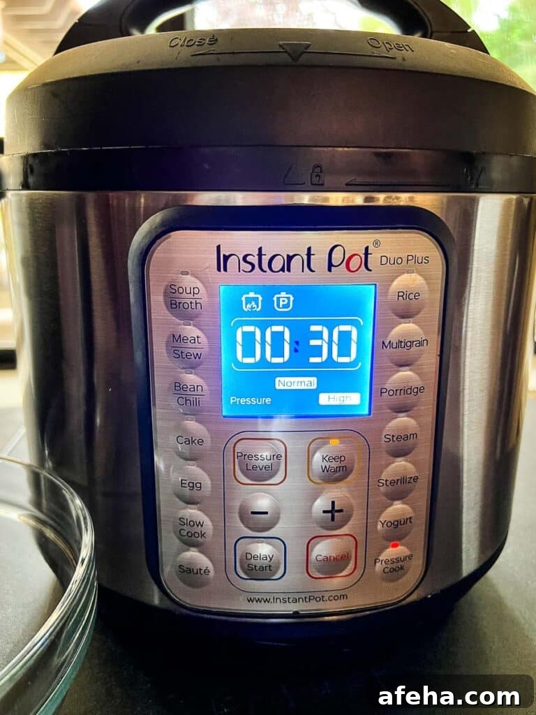 Instant Pot set into high for 30 minutes.