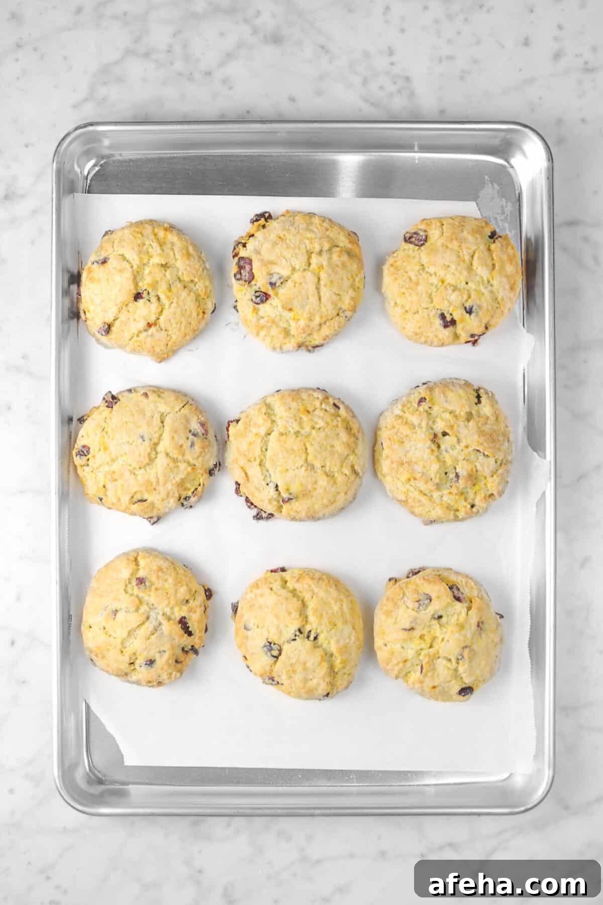 nine baked orange cranberry scones on a sheet pan