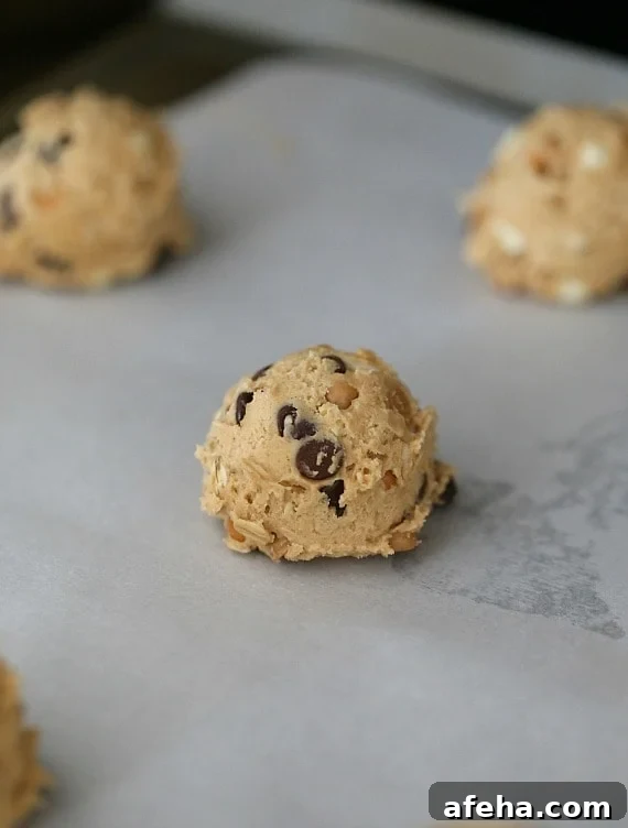 5 Chip Cookies ~ These have five different types of chips packed into one peanut butter cookie!!
