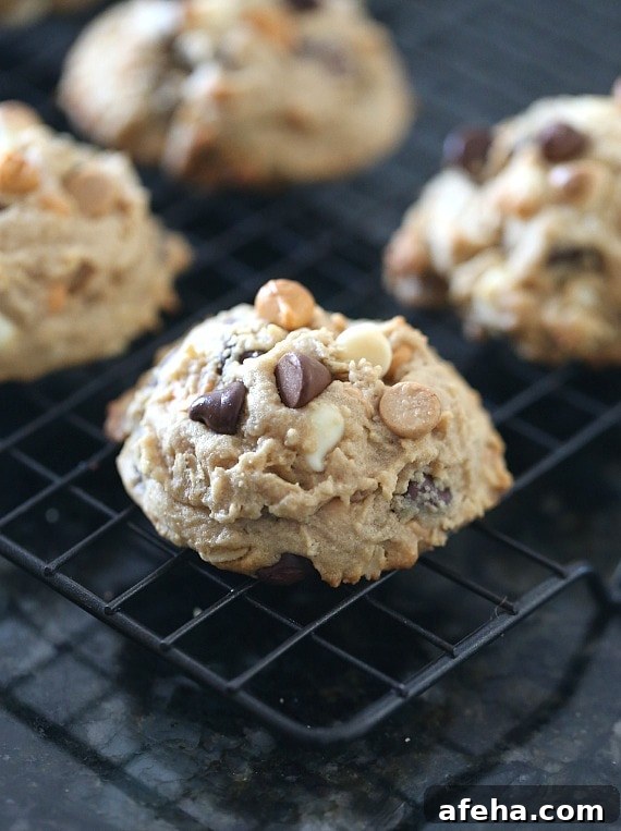 5 Chip Cookies ~ These have five different types of chips packed into one peanut butter cookie!!