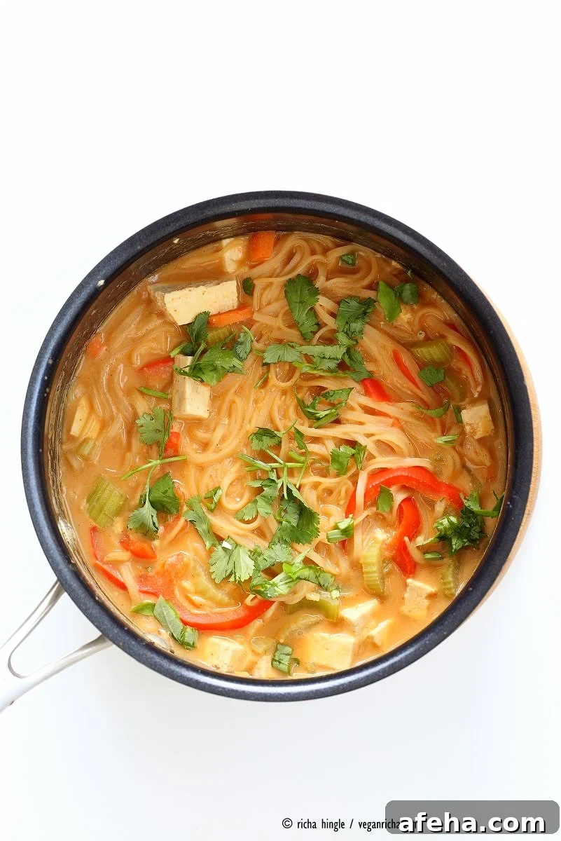 One pot peanut sauce noodles, Ready in 20 minutes! Brown Rice Noodles, Veggies, Peanut or Almond Butter, spices, flavors, boil and done. Easy Quick Weeknight Dinner Recipe | VeganRicha.com