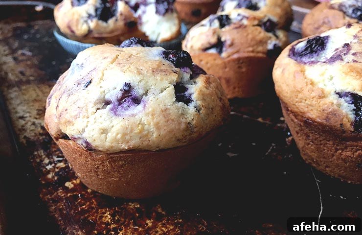 Perfect Homemade Blueberry Muffins Recipe for Moist, Fluffy Results 5 Best Blueberry Muffins
