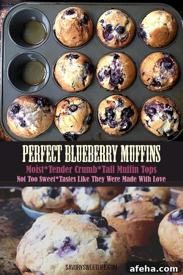 Perfect Homemade Blueberry Muffins Recipe for Moist, Fluffy Results 6 img 12807 5