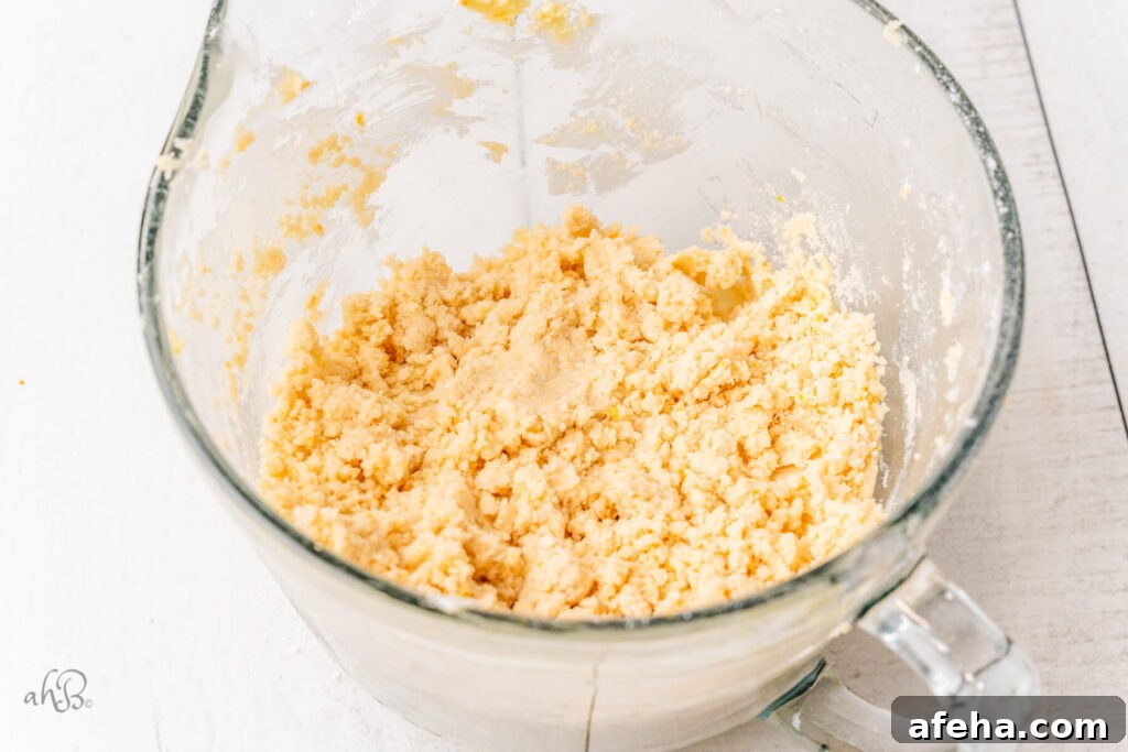 The ingredients form a crumbly looking dough in the bowl.