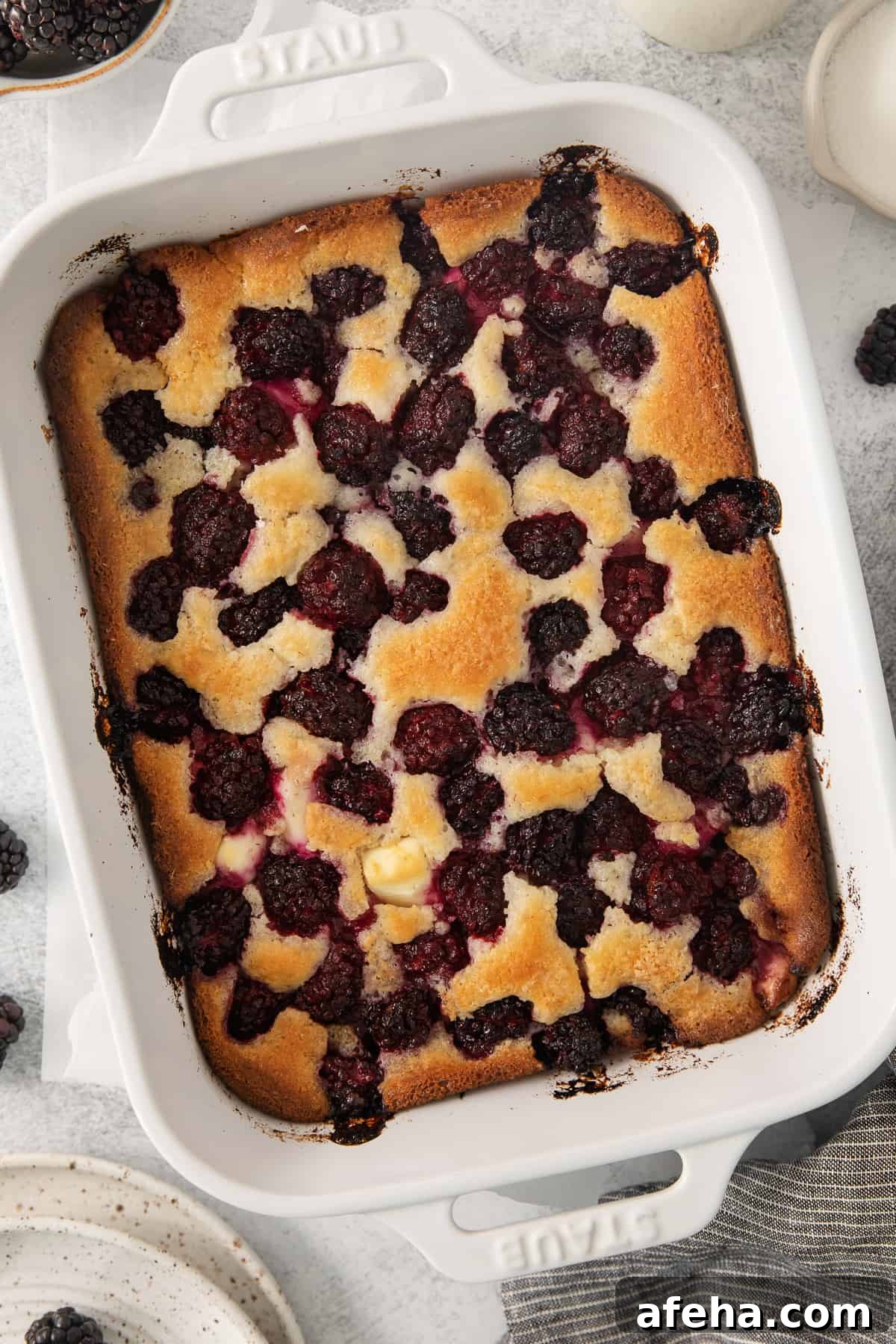 Blackberry Cobbler with Cream Cheese Swirl: Rustic Summer Dessert 6 a baked dessert in a white casserole dish.