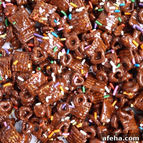 Chocolate covered chex mix gluten free and dairy free