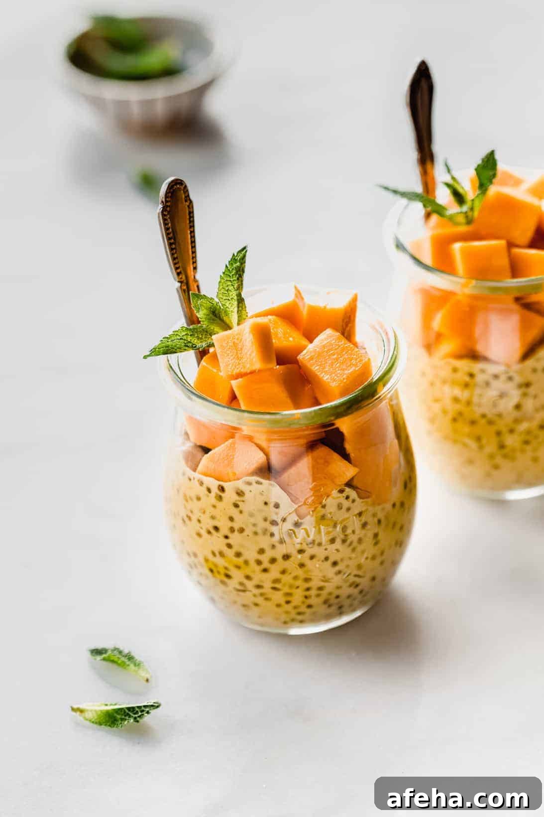 Creamy Mango Chia Pudding Recipe for Tropical Breakfast or Dessert 2 a jar filled with mango chia pudding, cubed mangos and fresh mint