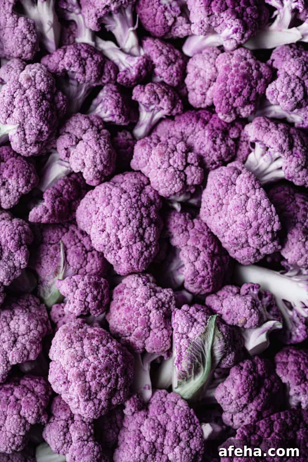 Purple Cauliflower Varieties: Flavor, Nutrition & Cooking Tips 3 raw purple cauliflower broken into florets, overhead