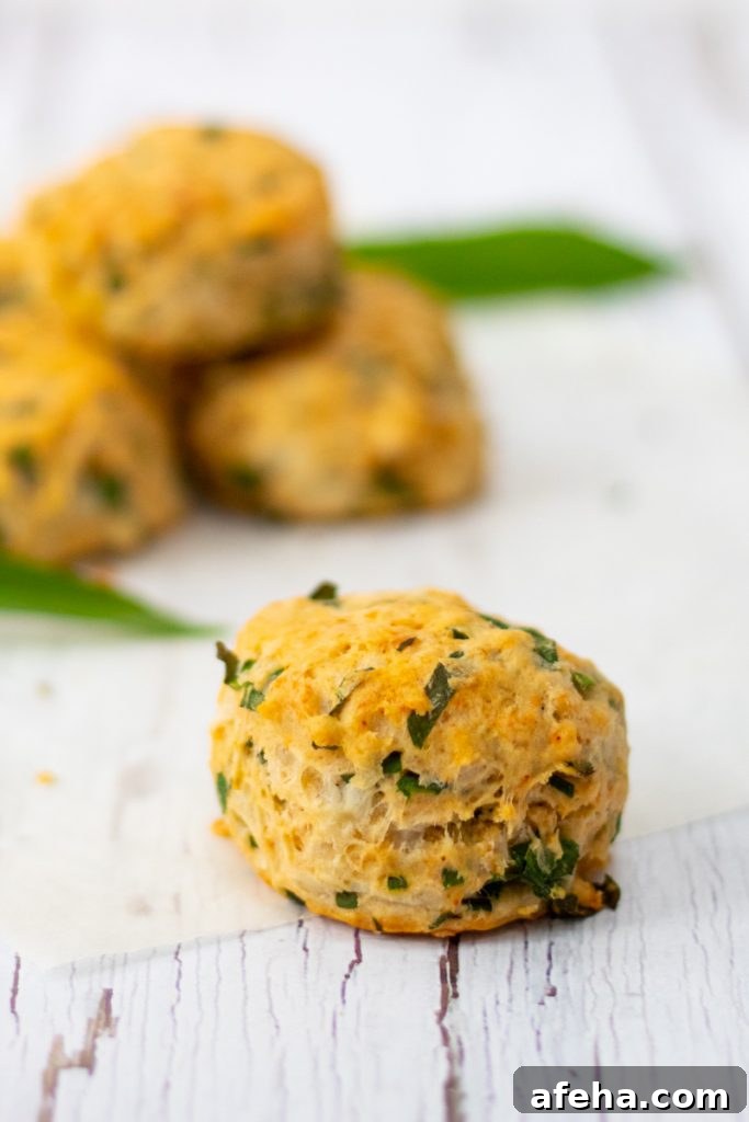 Wild garlic scones 