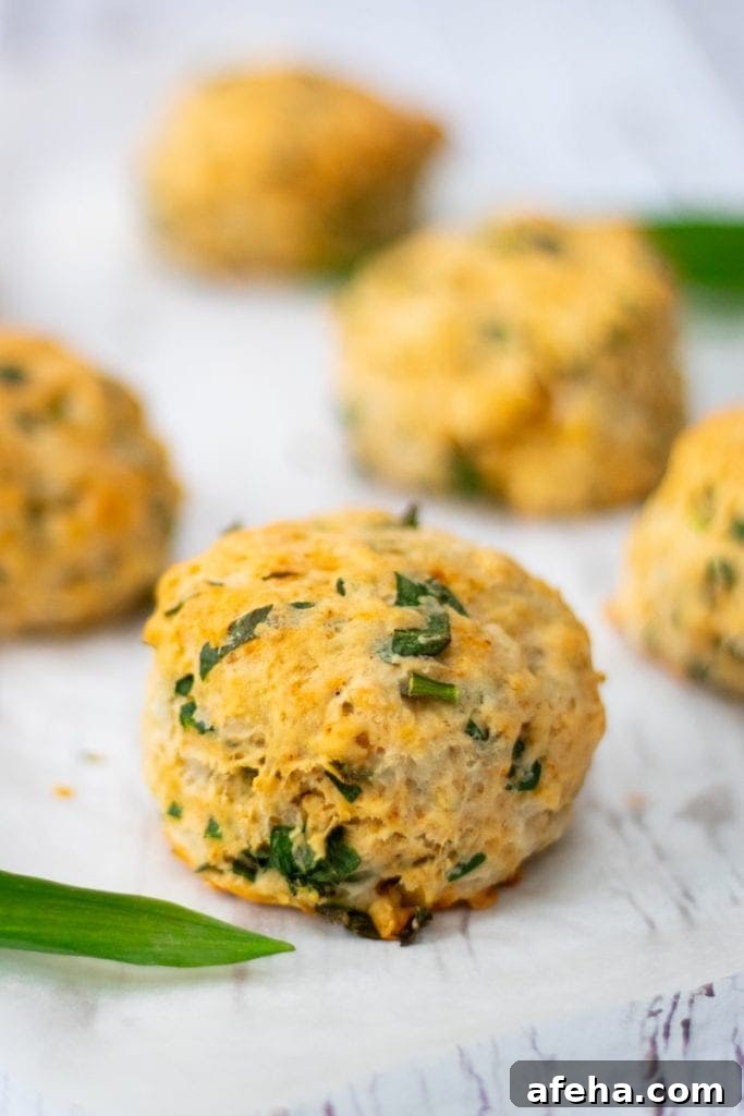 wild garlic and cheese scones