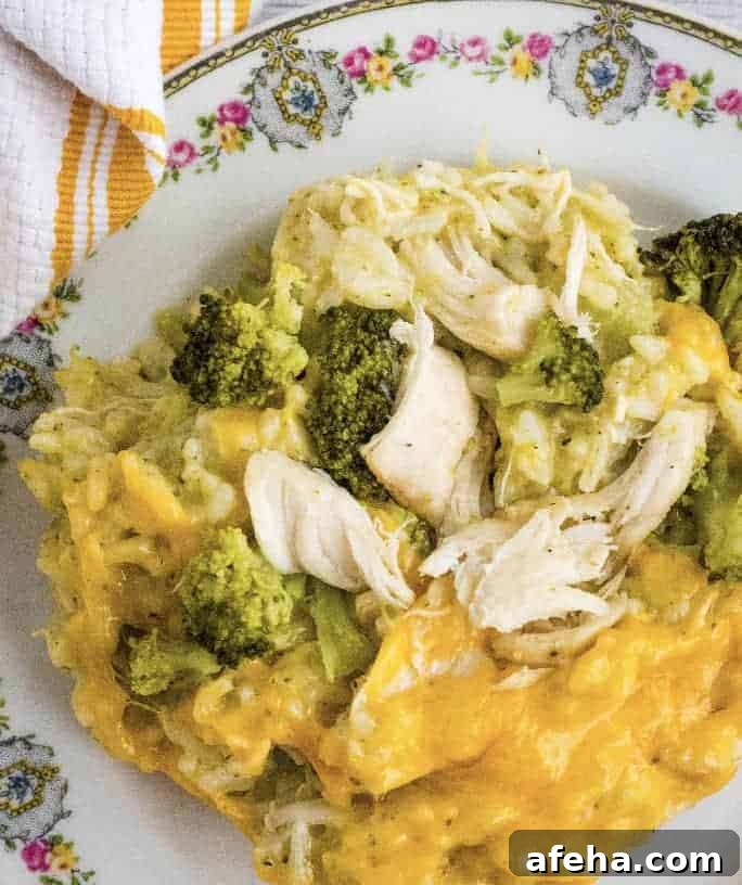 china plate of chicken, broccoli, and rice that was cooked in the Instant Pot
