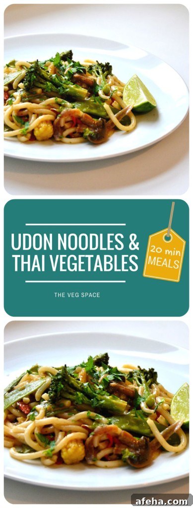 Udon Noodles & Thai Vegetables | The Veg Space