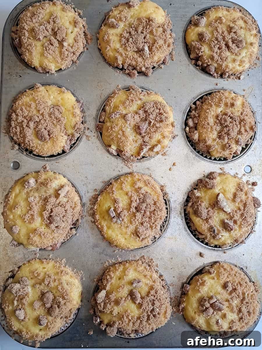 baked cinnamon crumb muffins in the tin.