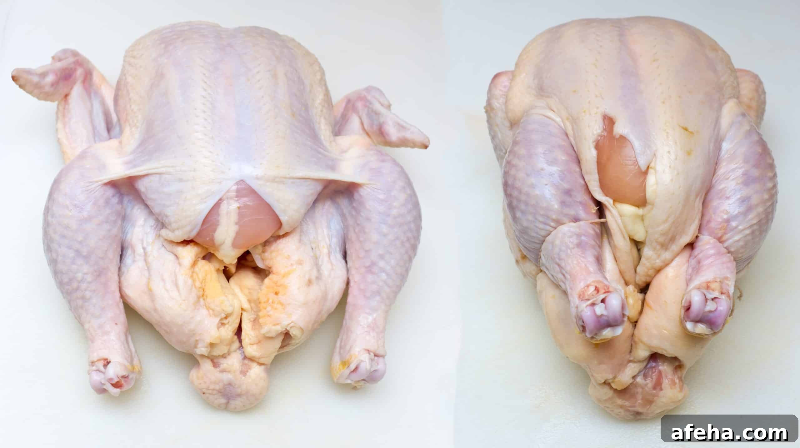 chicken turkey