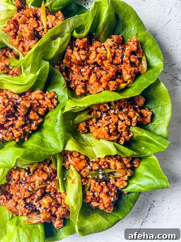 Savory Ground Chicken Meatballs with Tangy Tomato Sauce 12 Lettuce wraps filled with hoisin ground chicken.