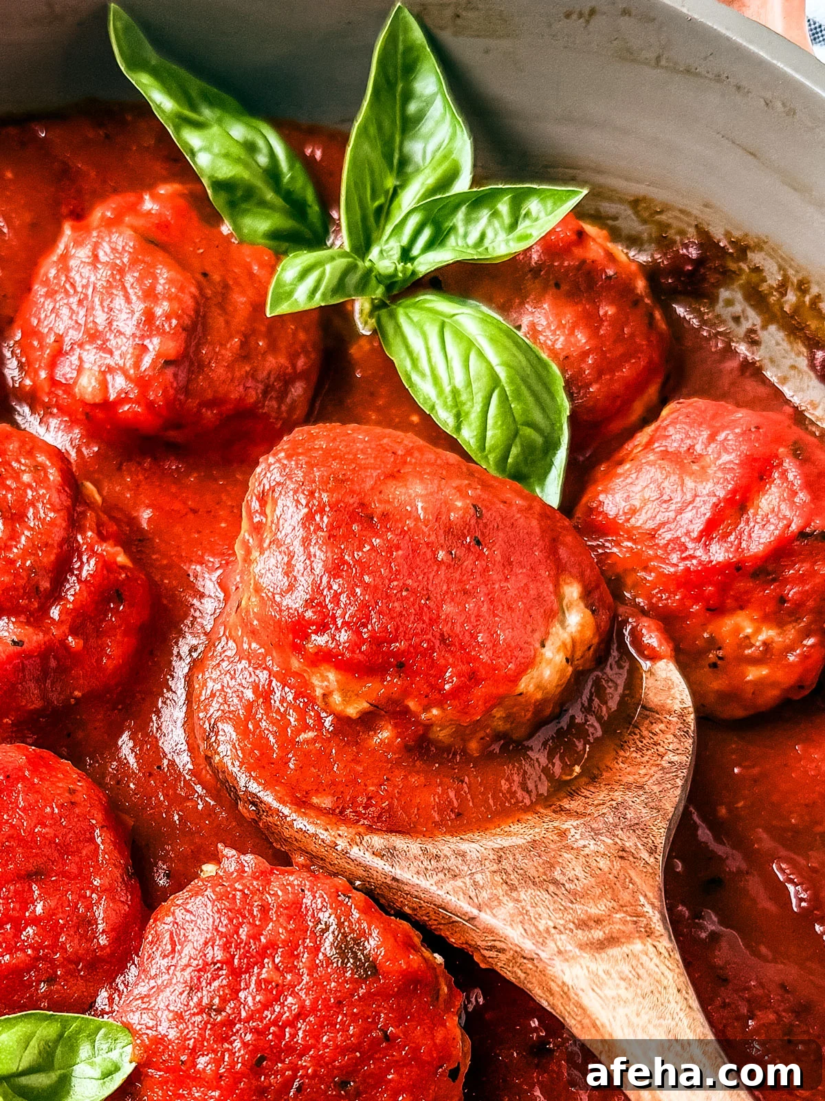 Savory Ground Chicken Meatballs with Tangy Tomato Sauce 7 Meatballs in marinara.