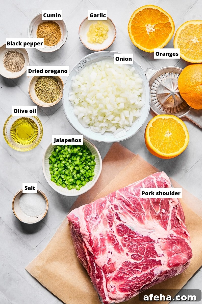 Ingredients used to make crockpot carnitas
