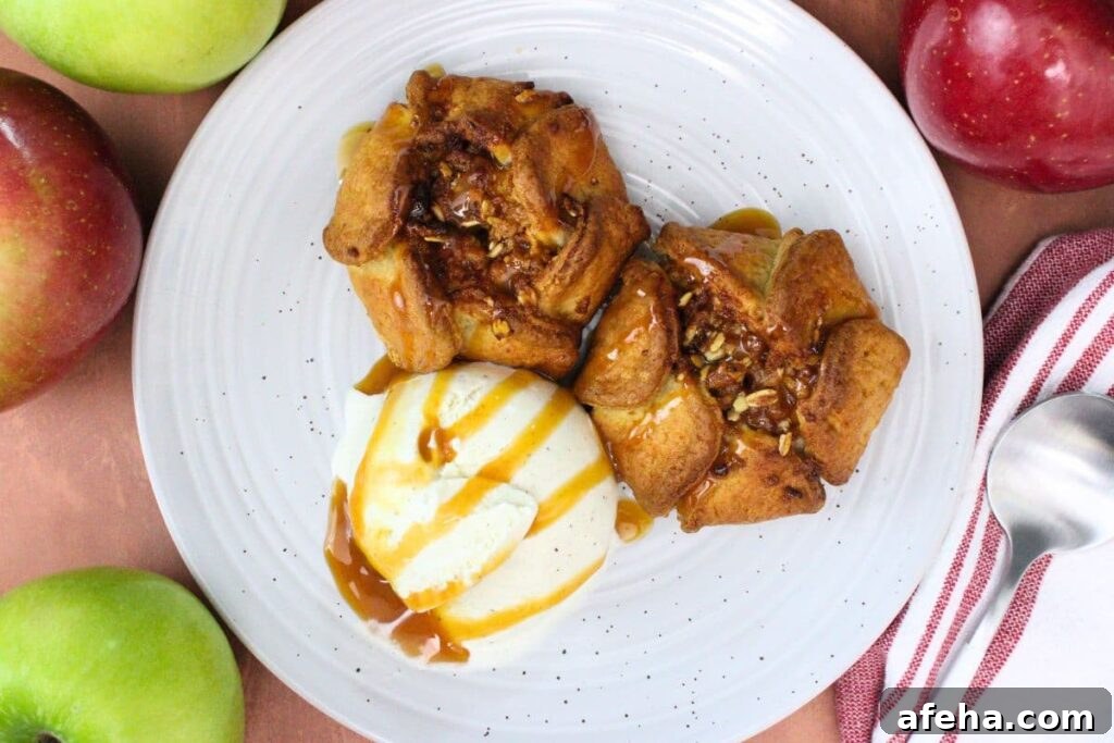 overhead view of two air fryer trader joes apple blossom on a plate with ice cream