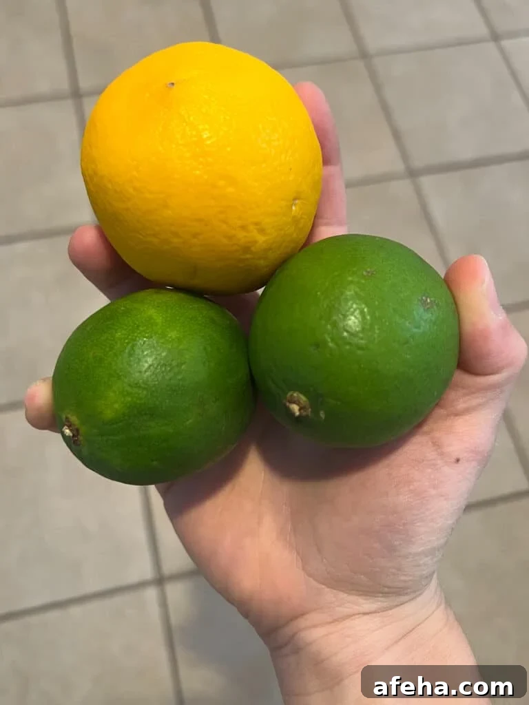 Hand holding two limes and a lemon
