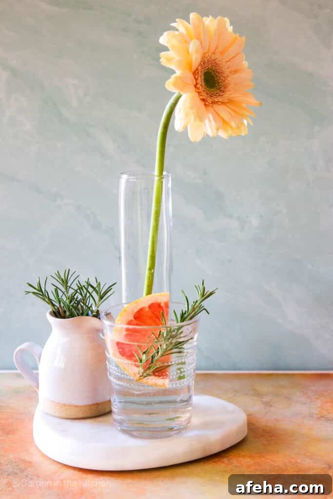 Grapefruit Infused Water