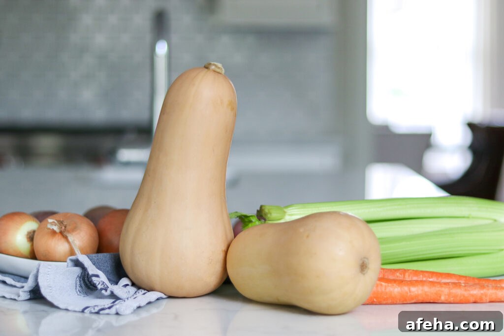 Butternut Squash