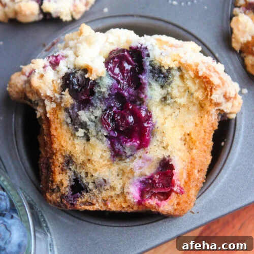 Bakery-Style Sour Cream Blueberry Muffins Recipe 10 Bakery Style Sour Cream Blueberry Muffins