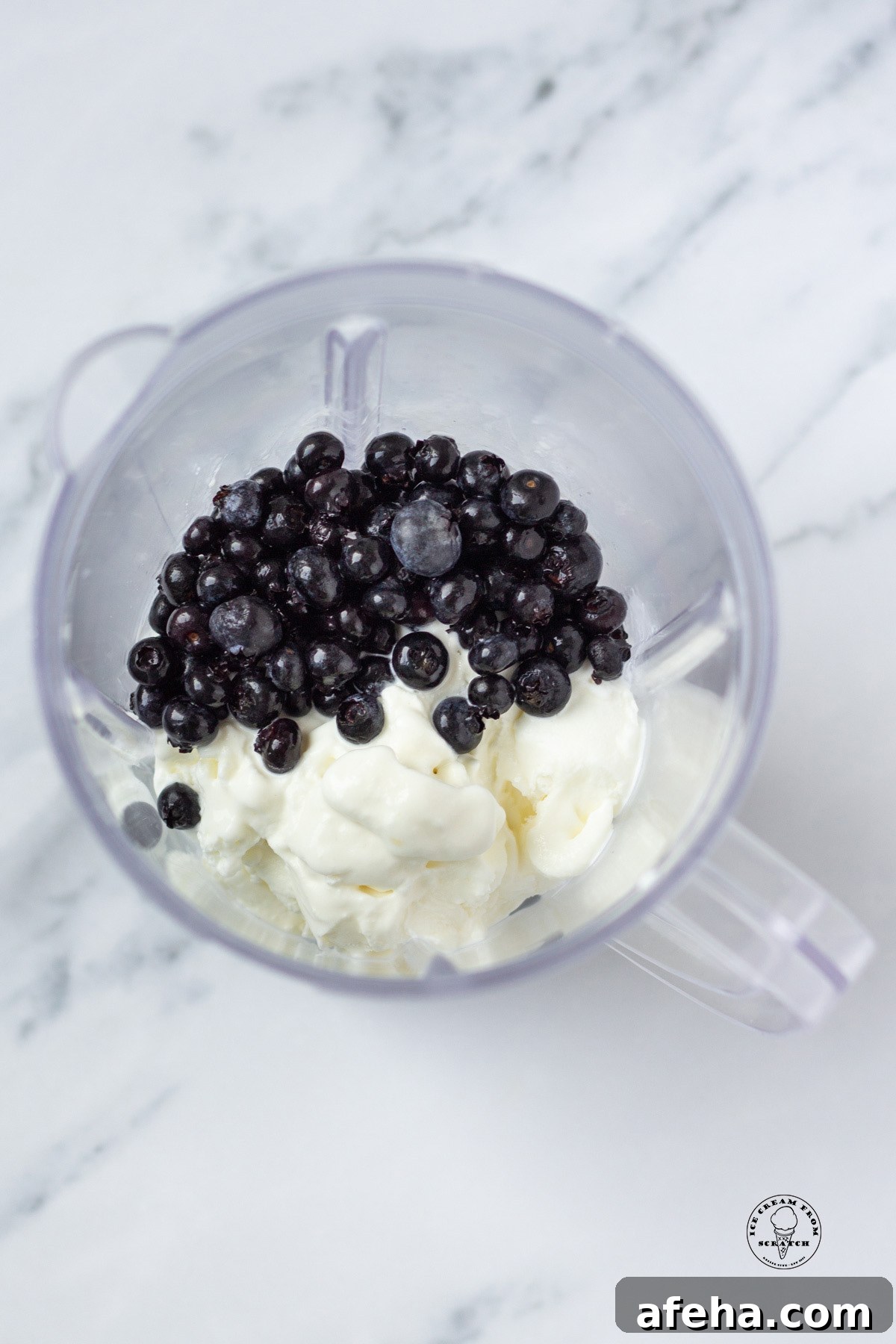 Ice cream and blueberries in a blender, viewed from above