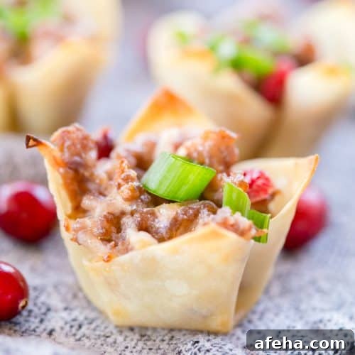 Cranberry Sausage Wontons