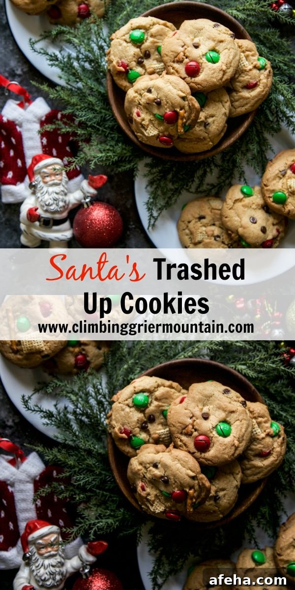 Santa's Trashed Up Cookies