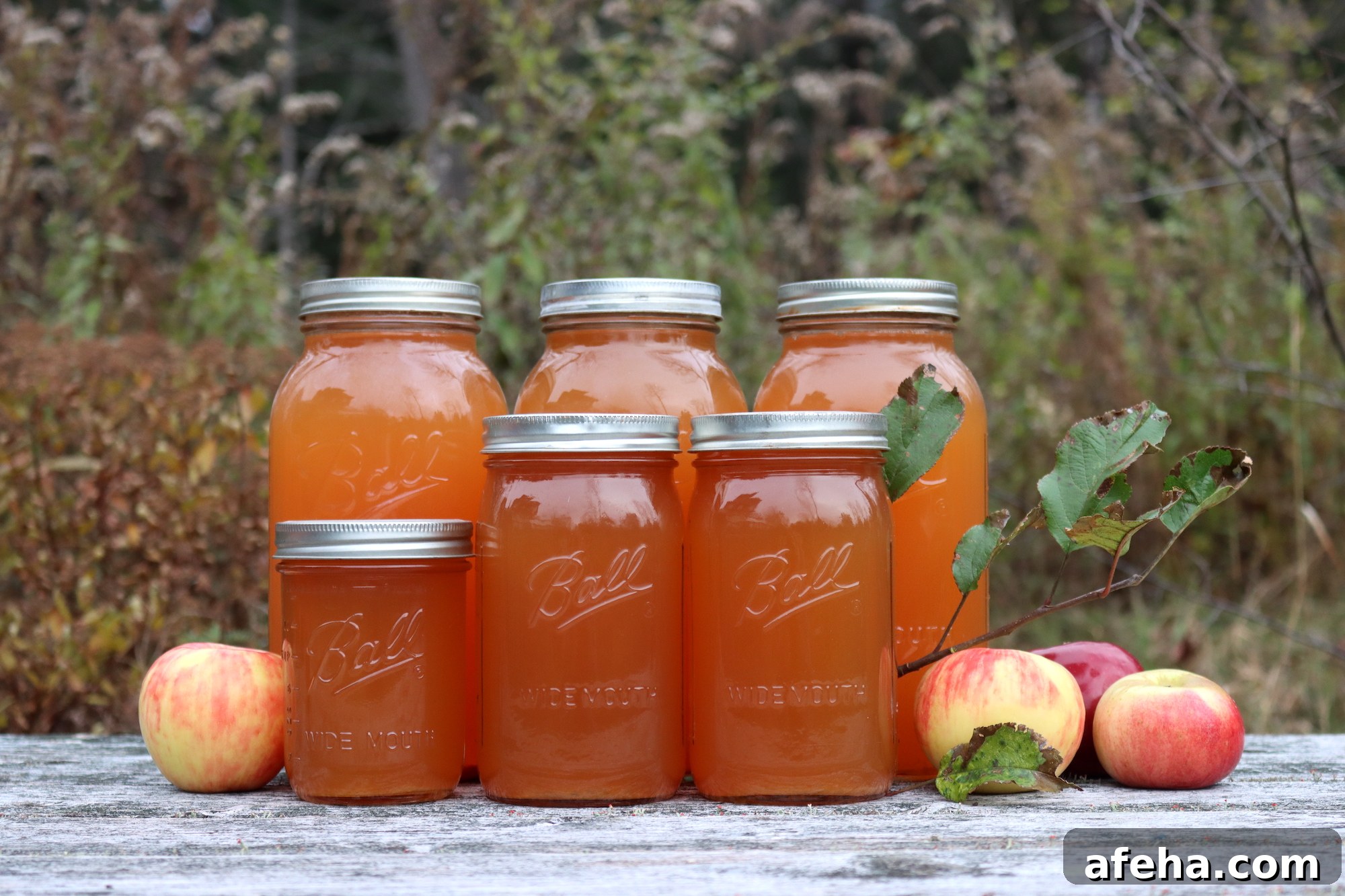 Canning Apple Cider