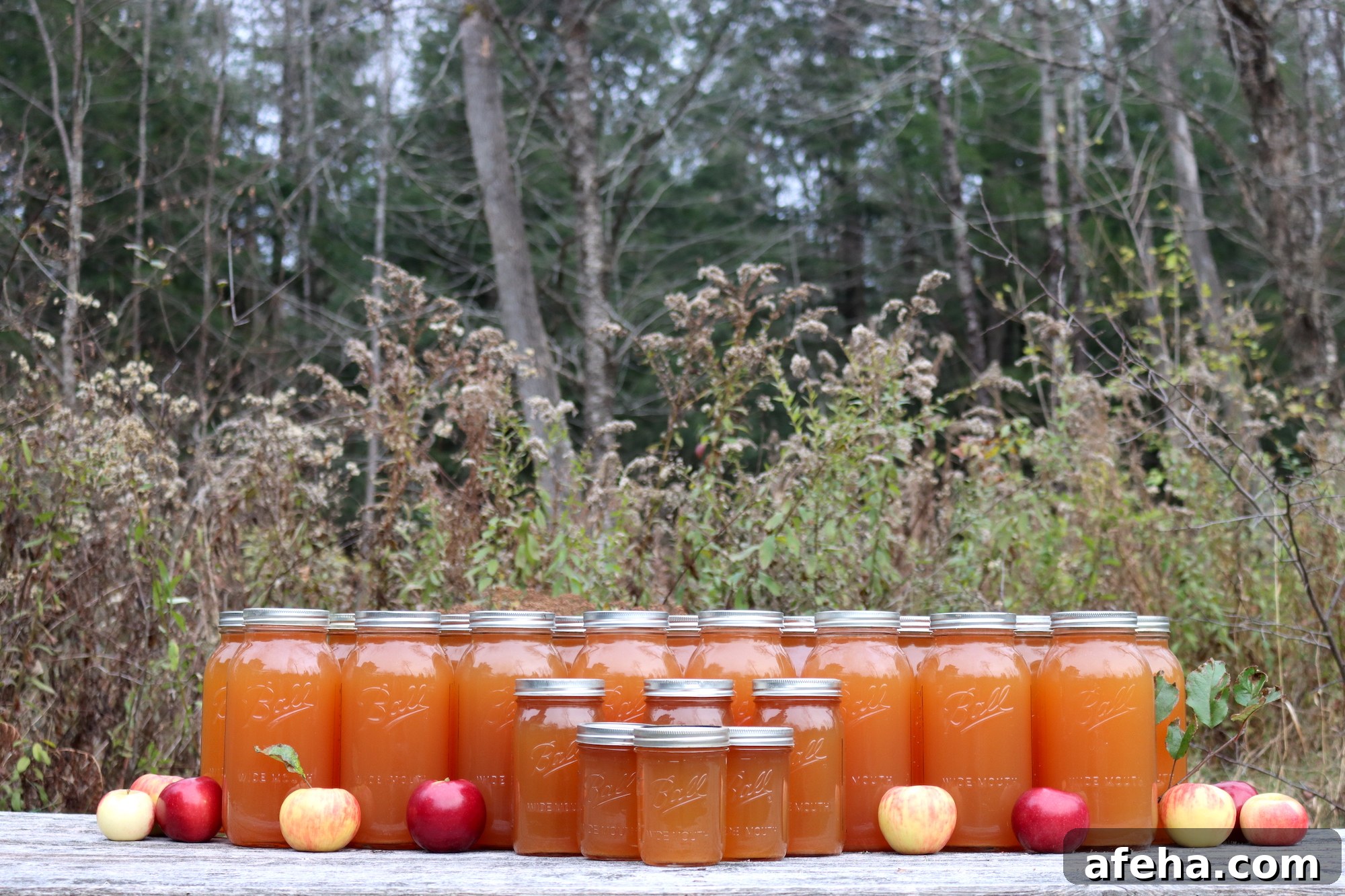 Canning Apple Cider
