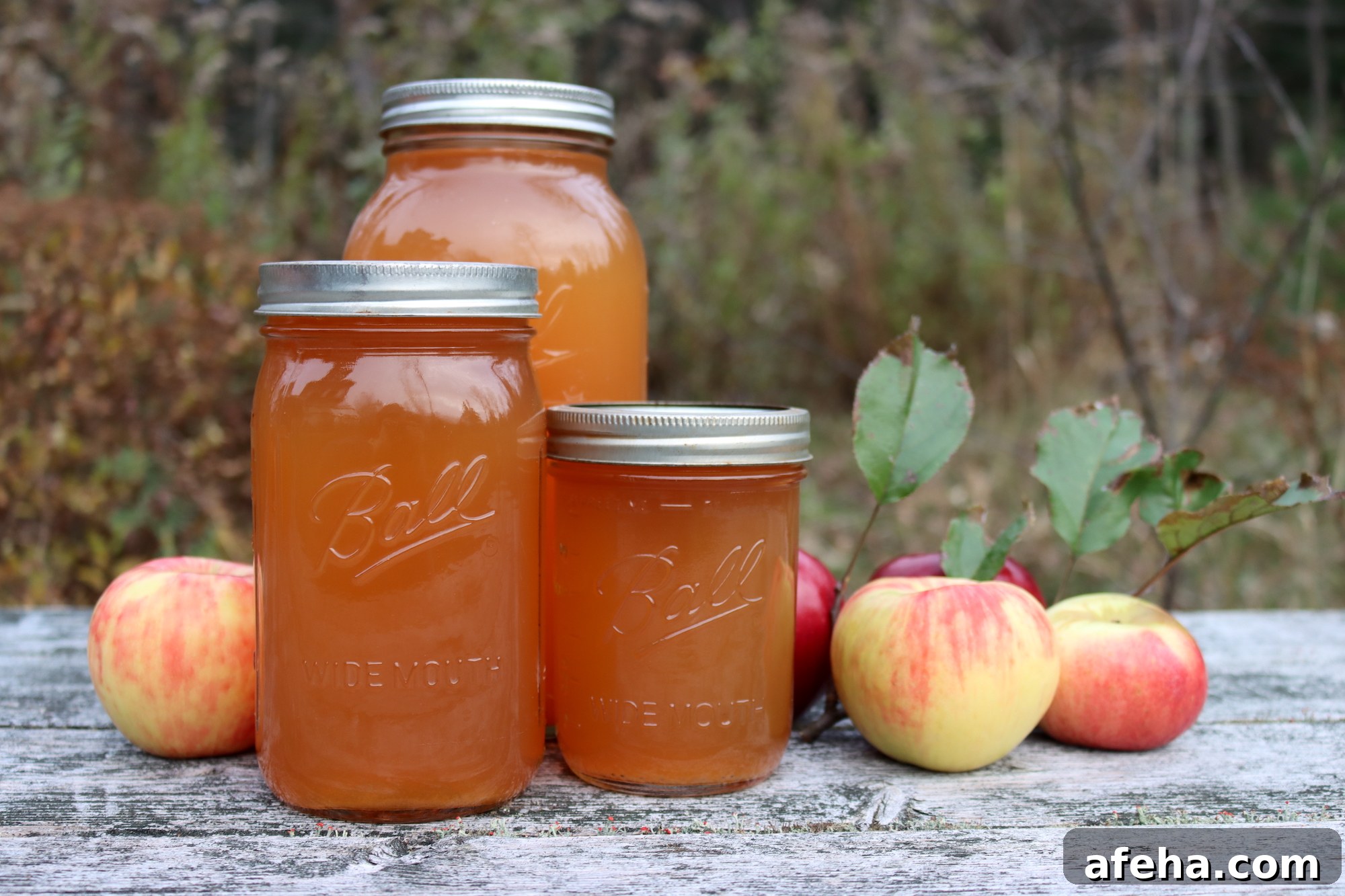 Canning Apple Cider