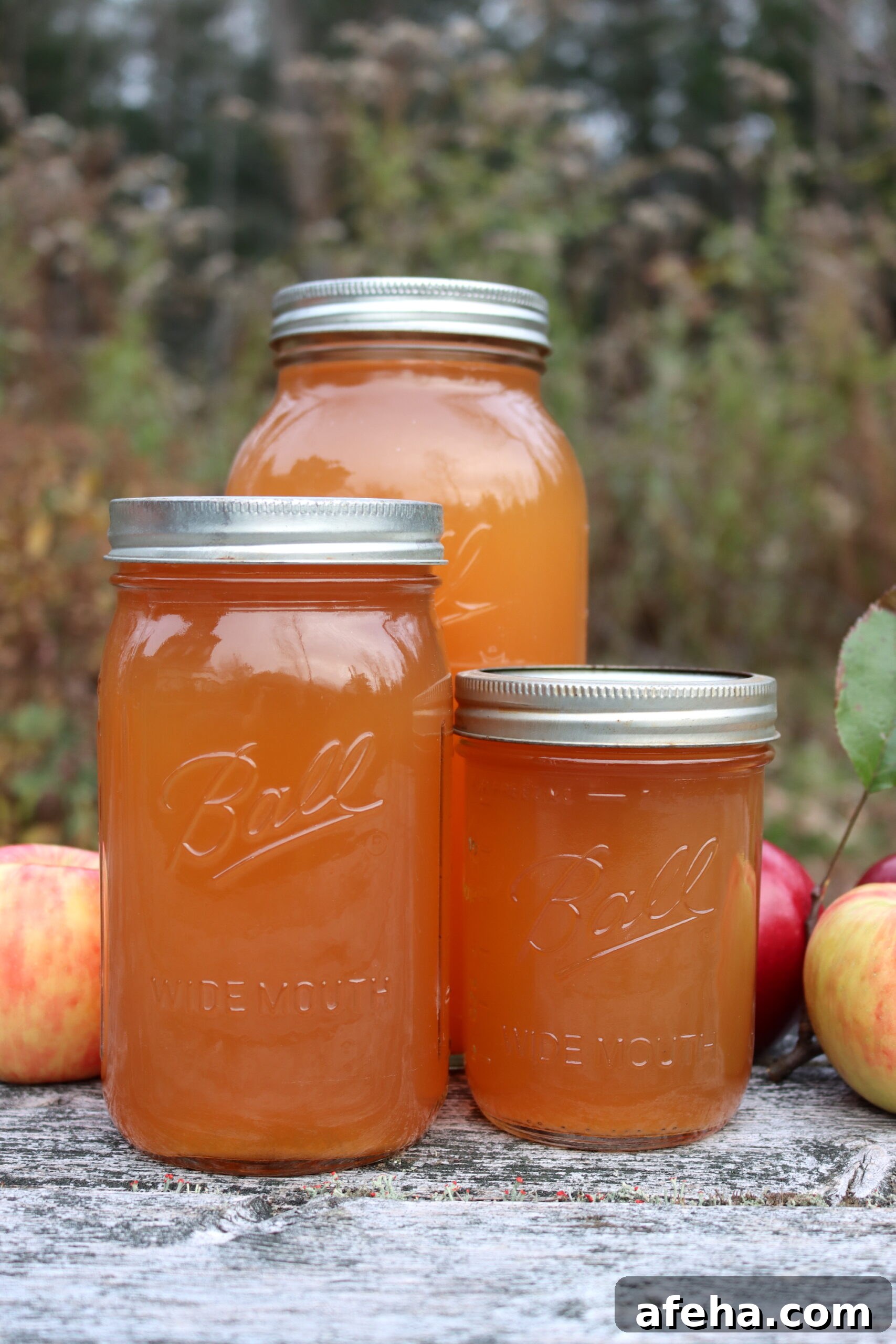 Canning Apple Cider