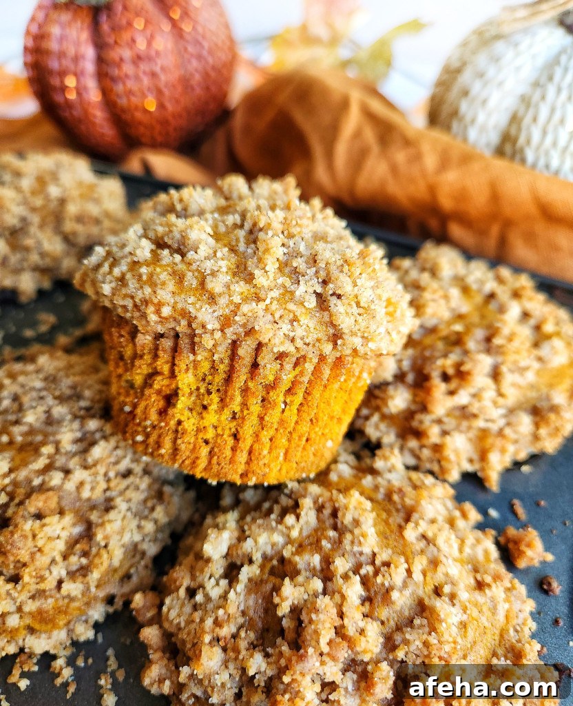 Pumpkin Crumb Muffins