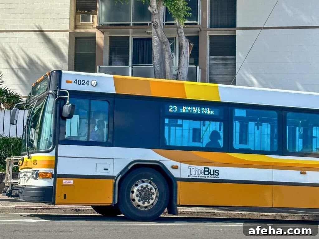 TheBus, Honolulu's public transport system.