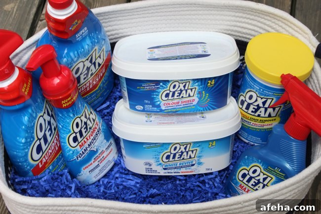 oxiclean products to treat clothing stains