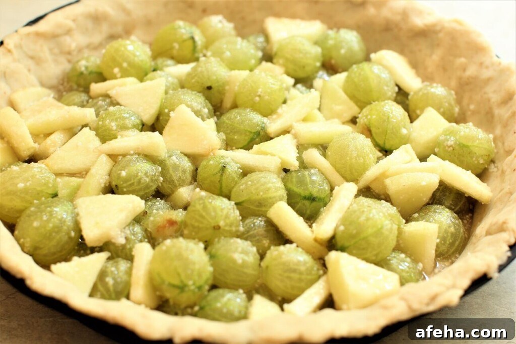 the pie shell filled with gooseberries and a bit of apple