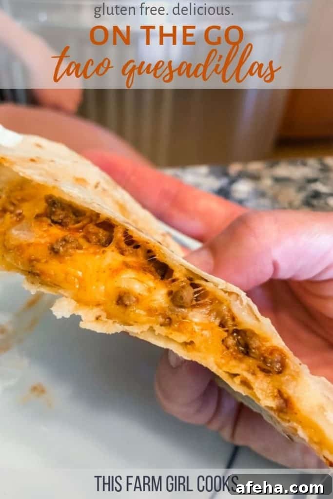 23 Delicious Dairy Recipes to Try Today 7 taco quesadillas