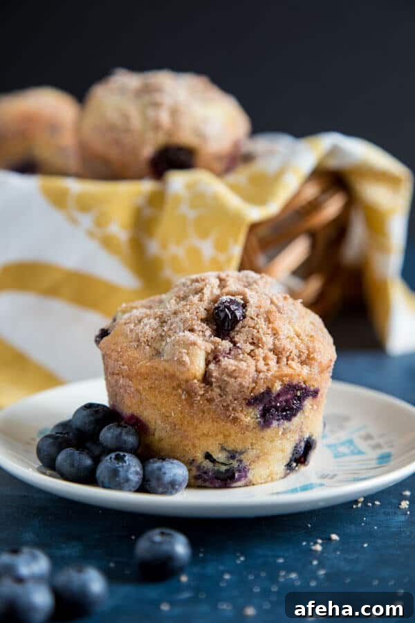 Blueberry muffin on a plate with fresh blueberries scattered around