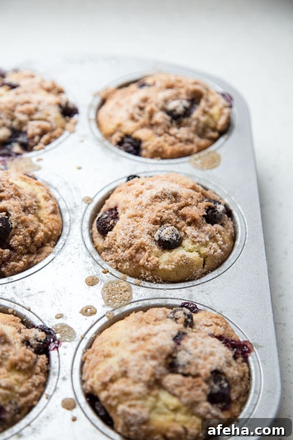 Baked blueberry muffins in a muffin pan
