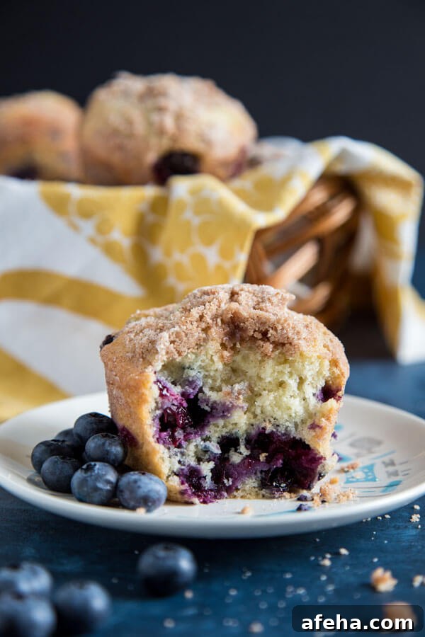 A half eaten blueberry muffin on a plate