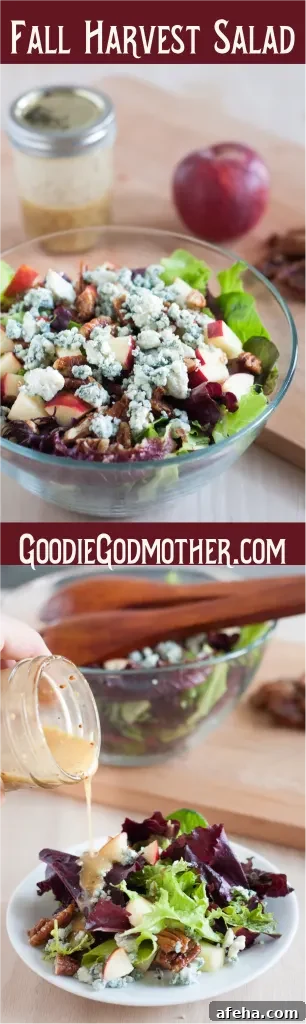 This salad is perfect for fall! Blue cheese crumbles, quick candied pecans, fresh apples, dark leafy greens, and an easy red wine vinaigrette. It's healthy fall comfort food! 
