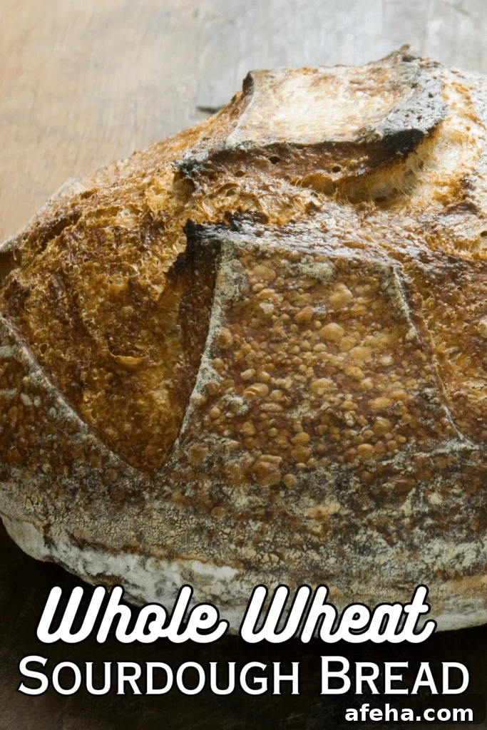 whole wheat sourdough bread with text